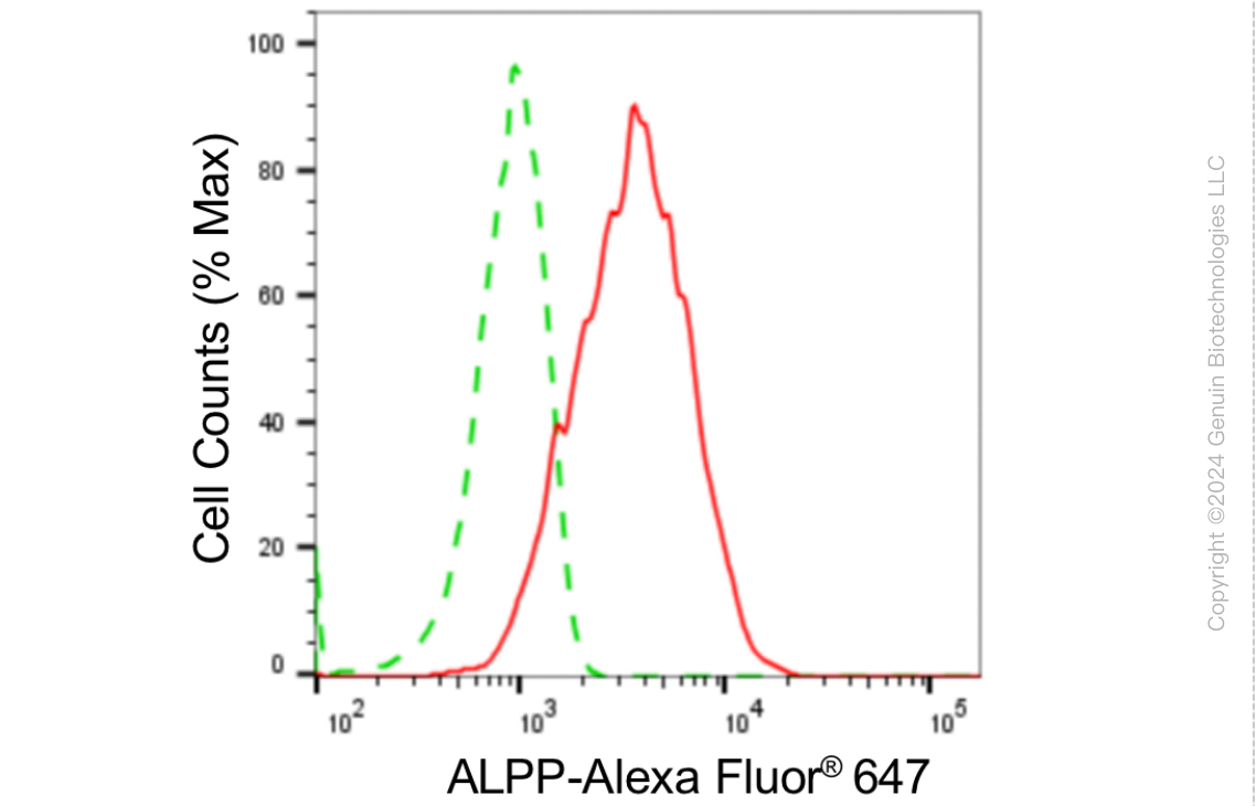 KD-Validated Anti-ALPP Rabbit Monoclonal Antibody ABG1888