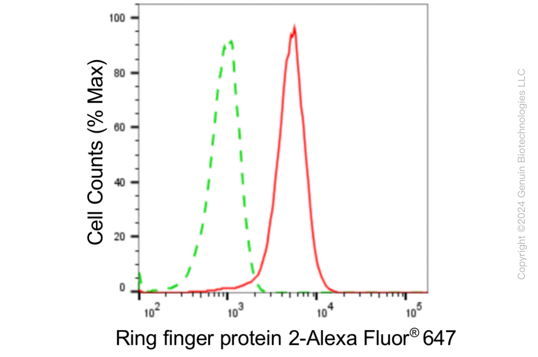 KD-Validated Anti-Ring Finger Protein 2 Rabbit Monoclonal Antibody ABG1891