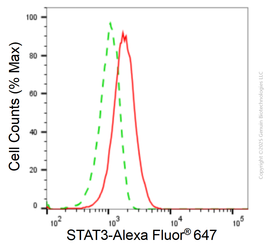 KD-Validated Anti-STAT3 Mouse Monoclonal Antibody ABG1896