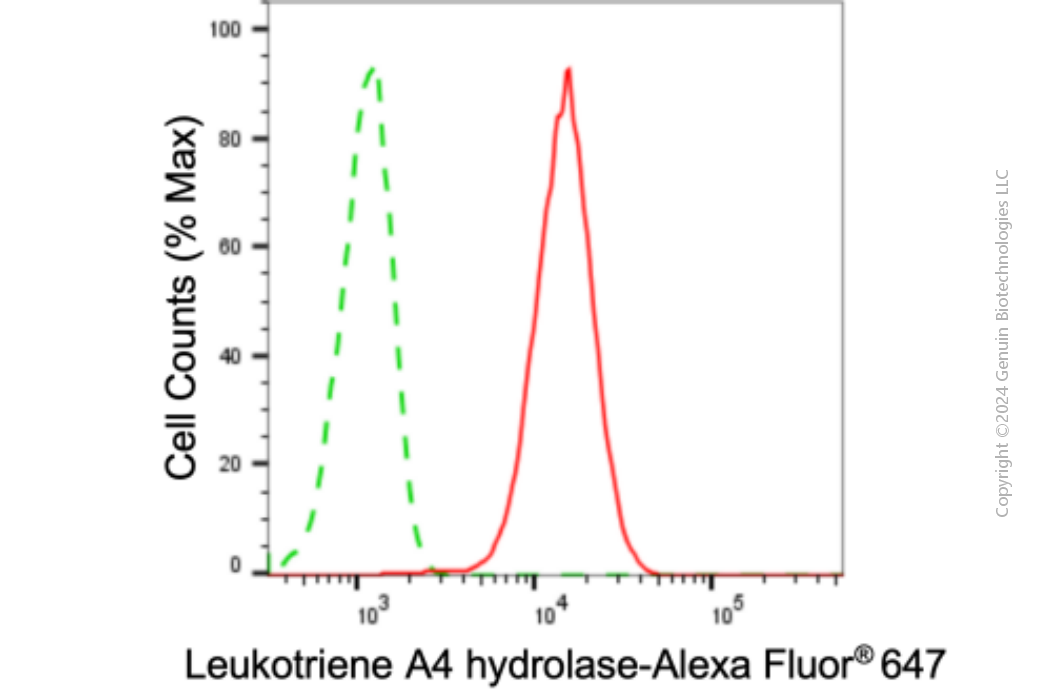 KD-Validated Anti-Leukotriene A4 Hydrolase Mouse Monoclonal Antibody ABG1898