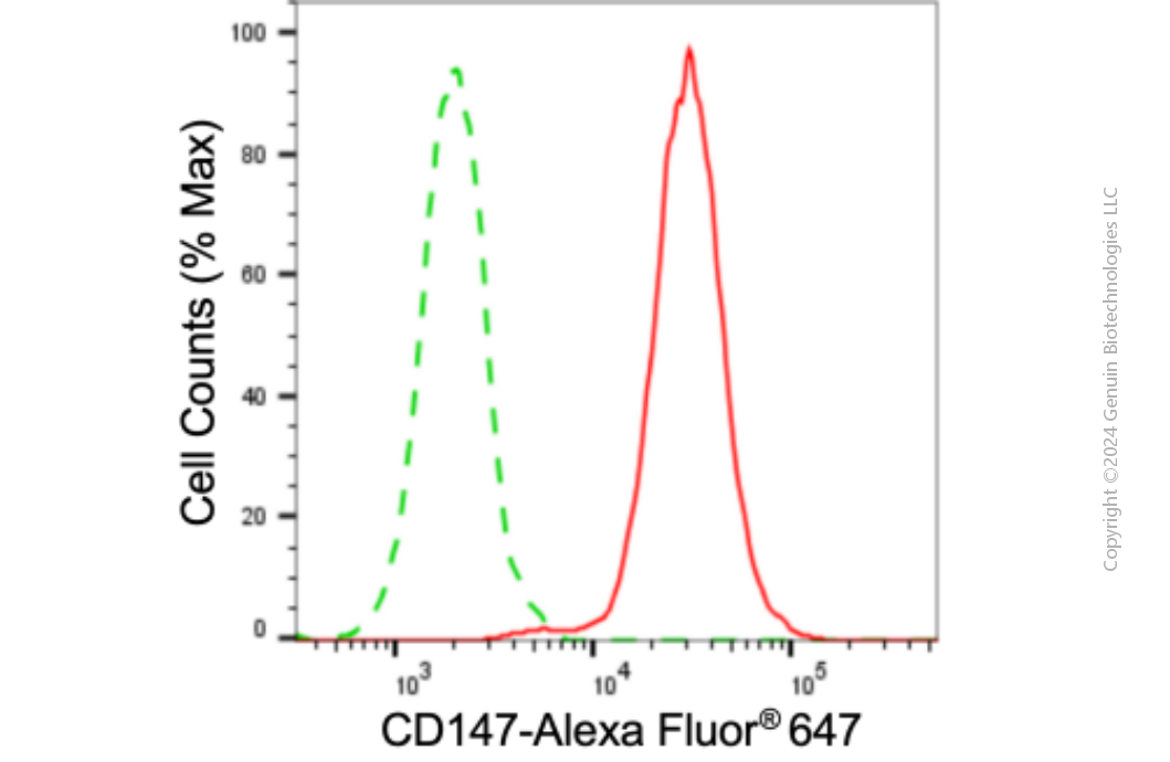 KD-Validated Anti-Basigin (Ok Blood Group) Mouse Monoclonal Antibody ABG1899