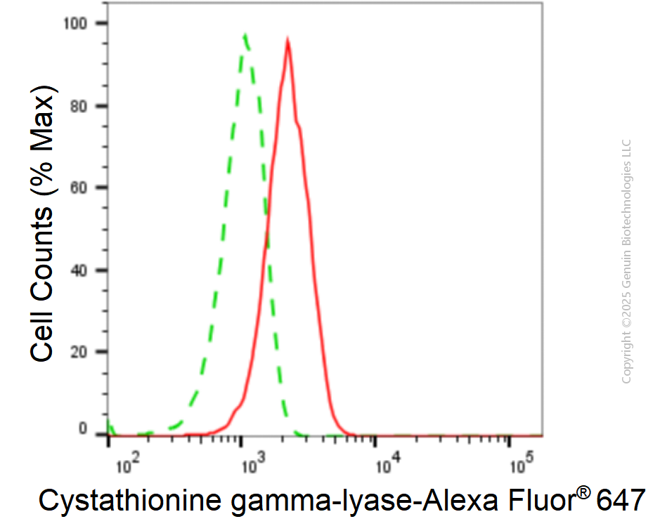 KD-Validated Anti-Cystathionine Gamma-Lyase Mouse Monoclonal Antibody ABG1903