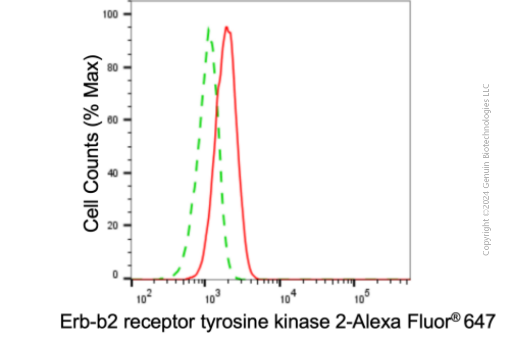 KD-Validated Anti-ERBB2 Mouse Monoclonal Antibody ABG1909
