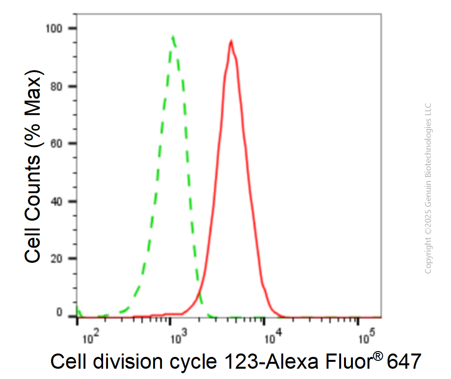KD-Validated Anti-Cell Division Cycle 123 Mouse Monoclonal Antibody ABG1912