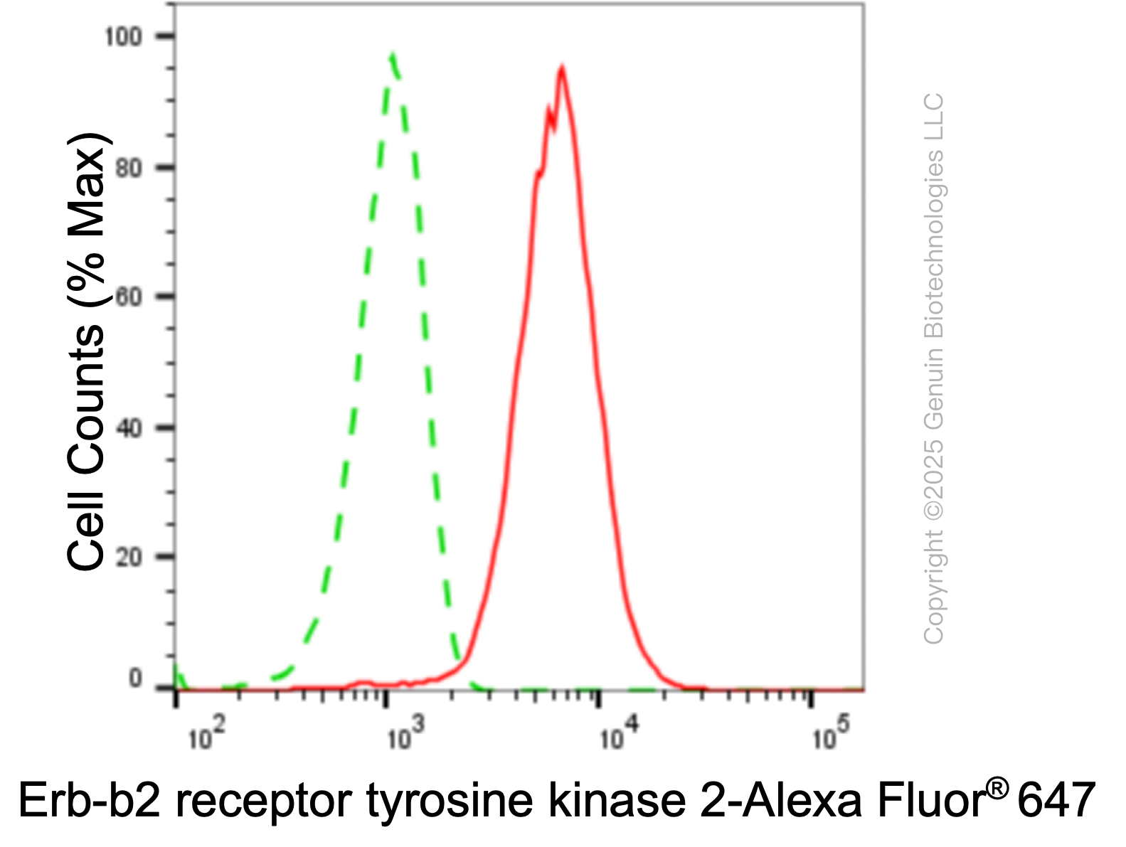 KD-Validated Anti-ERBB2 Mouse Monoclonal Antibody ABG1913