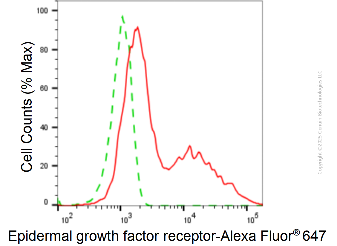 KD-Validated Anti-Epidermal Growth Factor Receptor Mouse Monoclonal Antibody ABG1920