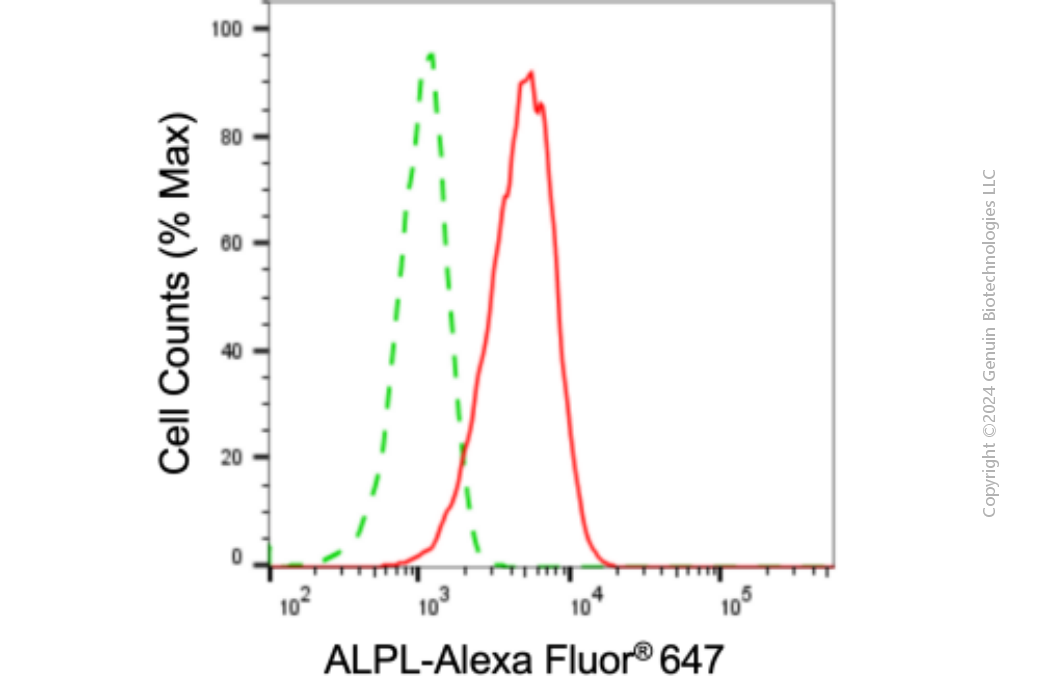 KD-Validated Anti-ALPL Mouse Monoclonal Antibody ABG1924