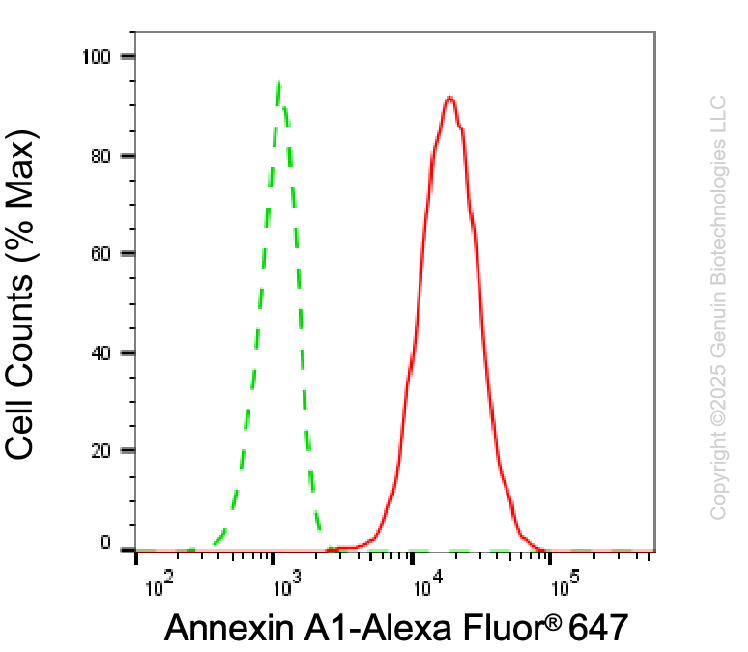 KD-Validated Anti-Annexin A1 Mouse Monoclonal Antibody ABG1929