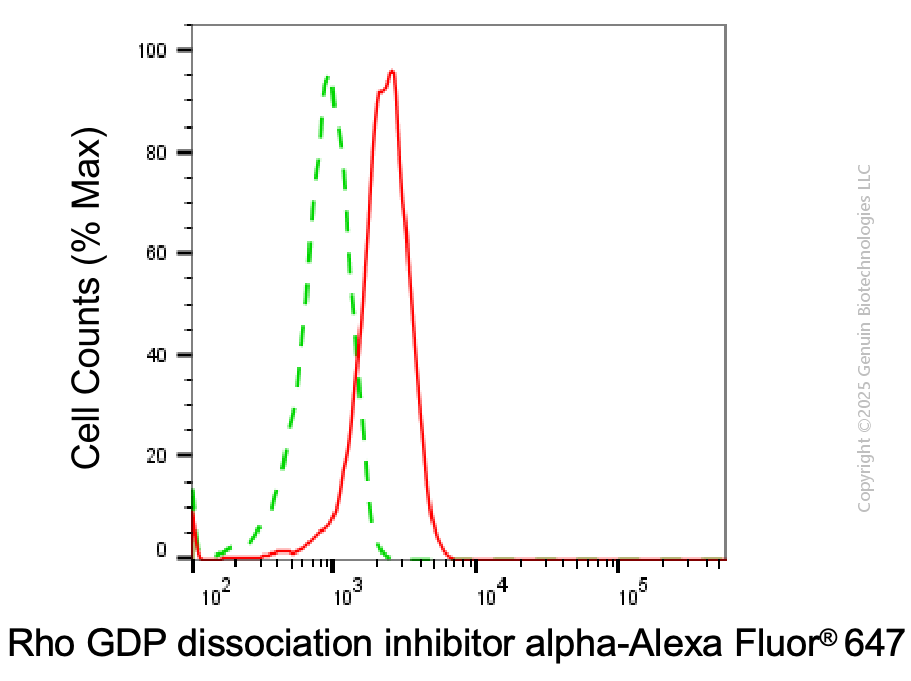 KD-Validated Anti-ARHGDIA Mouse Monoclonal Antibody ABG1930