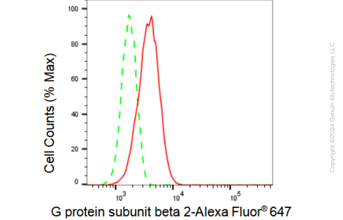 KD-Validated Anti-G protein subunit beta 2 Rabbit Monoclonal Antibody ABG1932