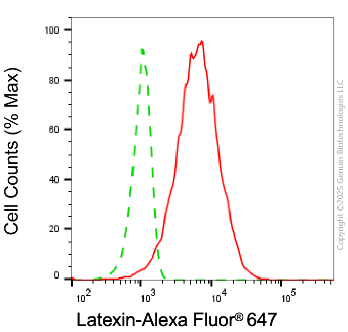 KD-Validated Anti-Latexin Mouse Monoclonal Antibody ABG1935