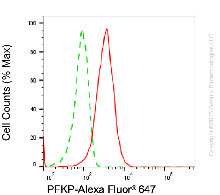KD-Validated Anti-PFKP Mouse Monoclonal Antibody ABG1937
