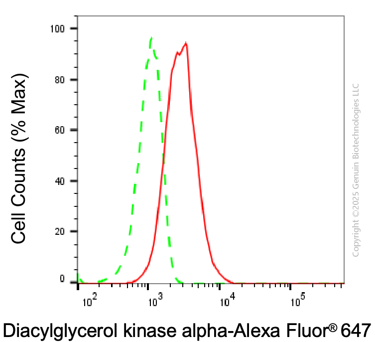 KD-Validated Anti-Diacylglycerol Kinase Alpha Mouse Monoclonal Antibody ABG1938