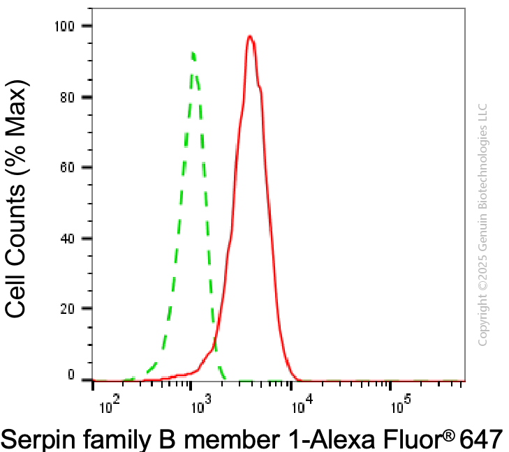 KD-Validated Anti-SERPINB1 Mouse Monoclonal Antibody ABG1944