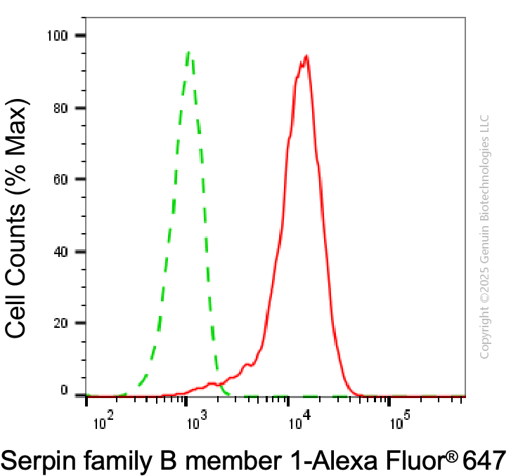 KD-Validated Anti-SERPINB1 Mouse Monoclonal Antibody ABG1945