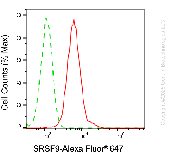 KD-Validated Anti-SRSF9 Mouse Monoclonal Antibody ABG1953