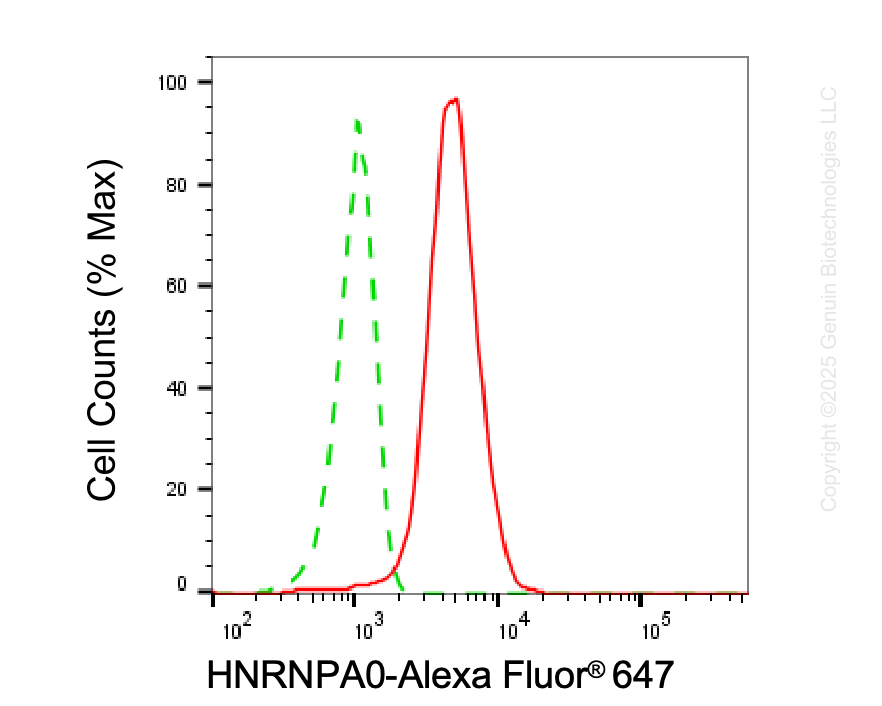 KD-Validated Anti-HNRNPA0 Mouse Monoclonal Antibody ABG1954