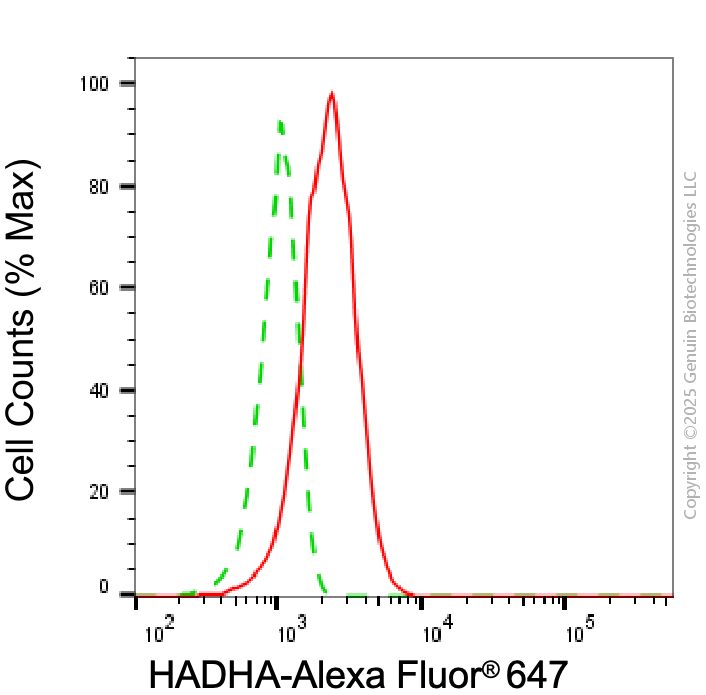 KD-Validated Anti-HADHA Mouse Monoclonal Antibody ABG1958