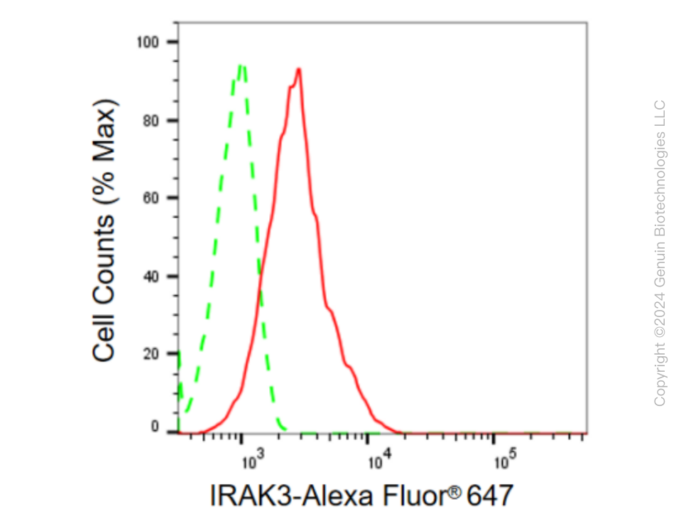 KD-Validated Anti-IRAK3 Rabbit Monoclonal Antibody ABG1959