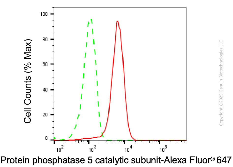KD-Validated Anti-PPP5C mouse monoclonal antibody ABG1961