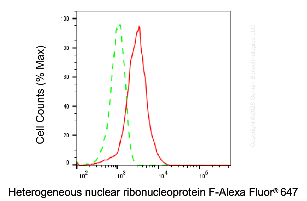 KD-Validated Anti-HNRNPF Mouse monoclonal antibody ABG1962