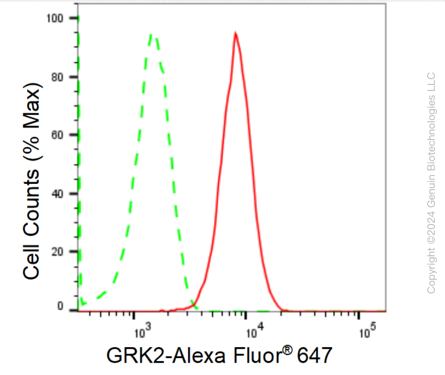 KD-Validated Anti-GRK2 Rabbit Monoclonal Antibody ABG1966