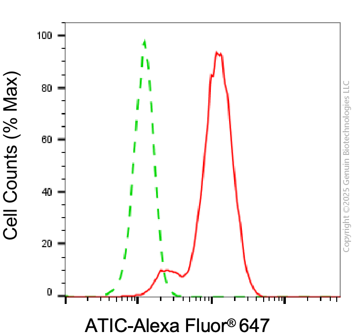 KD-Validated Anti-ATIC Mouse Monoclonal Antibody ABG1969
