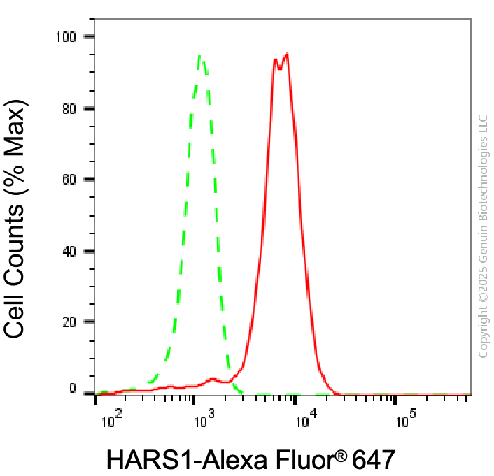 KD-Validated Anti-HARS1 Mouse Monoclonal Antibody ABG1970