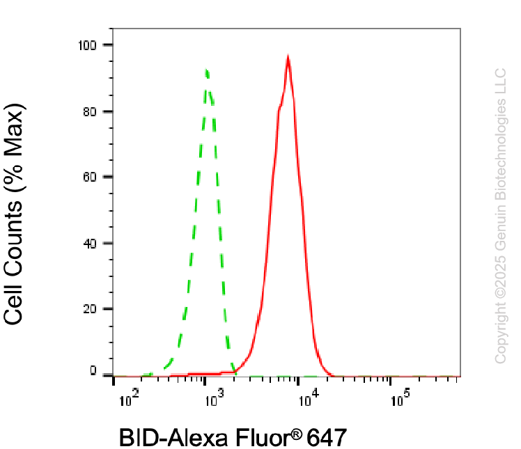 KD-Validated Anti-BID Mouse Monoclonal Antibody ABG1971