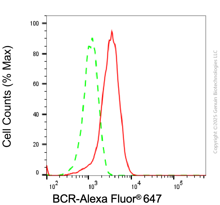 KD-Validated Anti-BCR Rabbit Monoclonal Antibody ABG1983