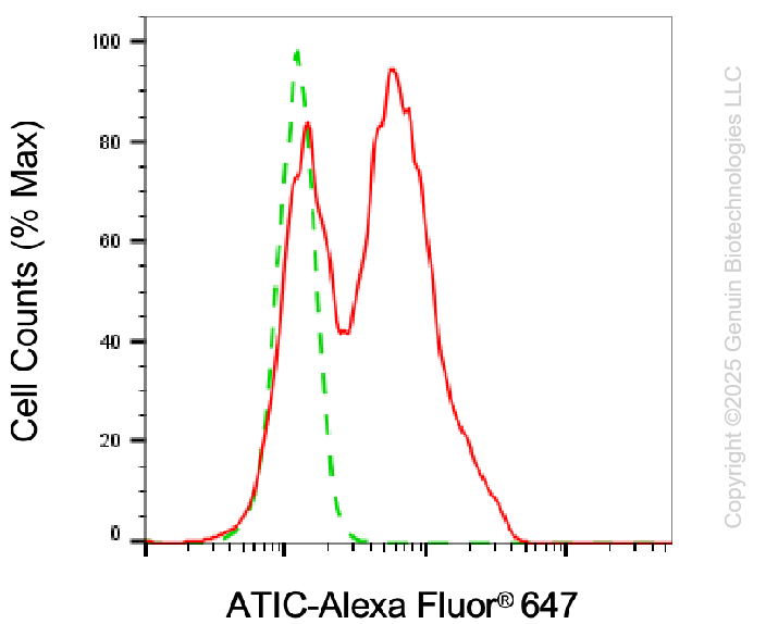 KD-Validated Anti-ATIC Mouse Monoclonal Antibody ABG1985