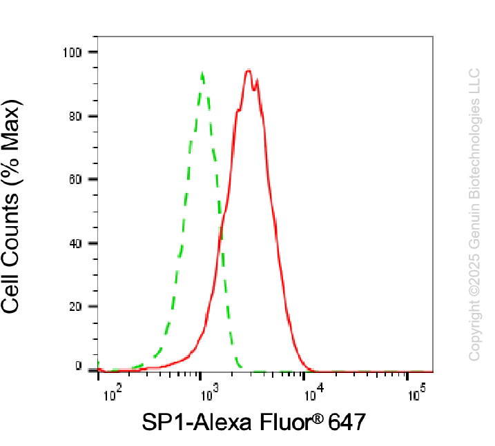 KD-Validated Anti-Sp1 Transcription Factor Mouse Monoclonal Antibody ABG1991