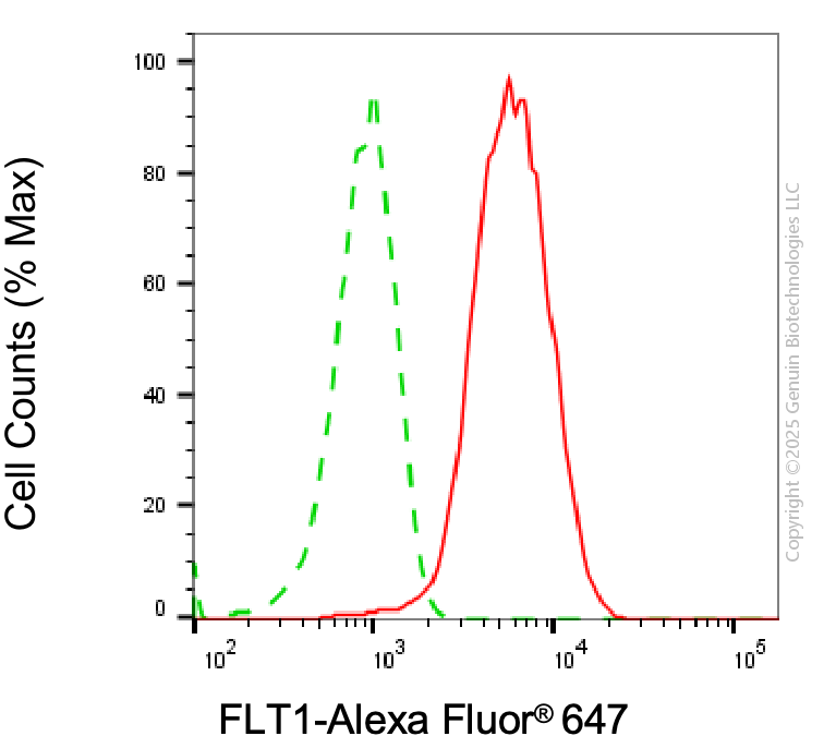 KD-Validated Anti-FLT1 Mouse Monoclonal Antibody ABG1992