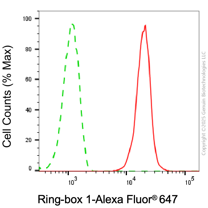 KD-Validated Anti-Ring-Box 1 Mouse Monoclonal Antibody ABG1996