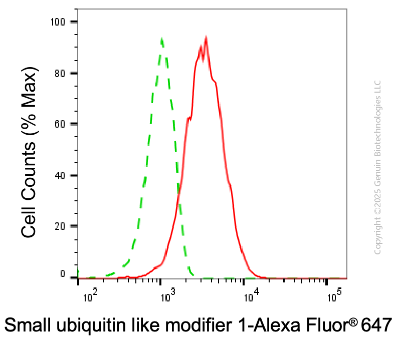 KD-Validated Anti-SUMO1 Mouse Monoclonal Antibody ABG1997