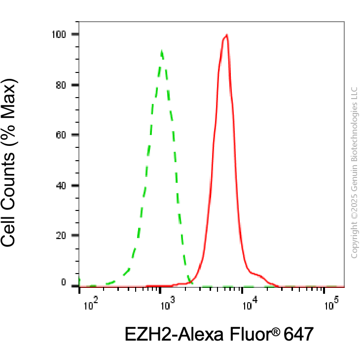 KD-Validated Anti-EZH2 Mouse Monoclonal Antibody ABG1998