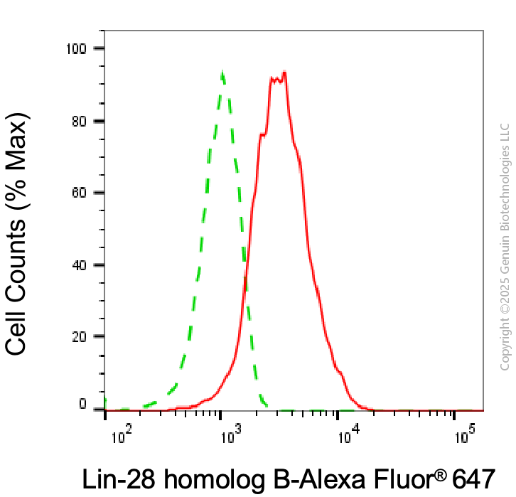 KD-Validated Anti-Lin-28 Homolog B Mouse Monoclonal Antibody ABG1999