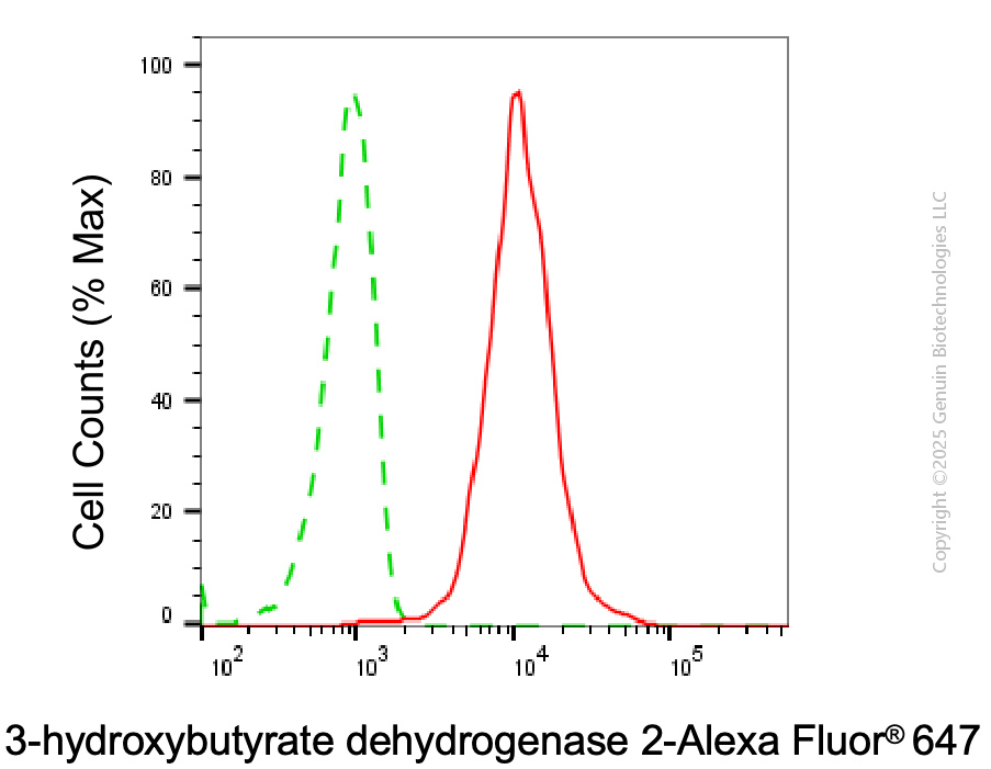 KD-Validated Anti-BDH2 Mouse Monoclonal Antibody ABG2007