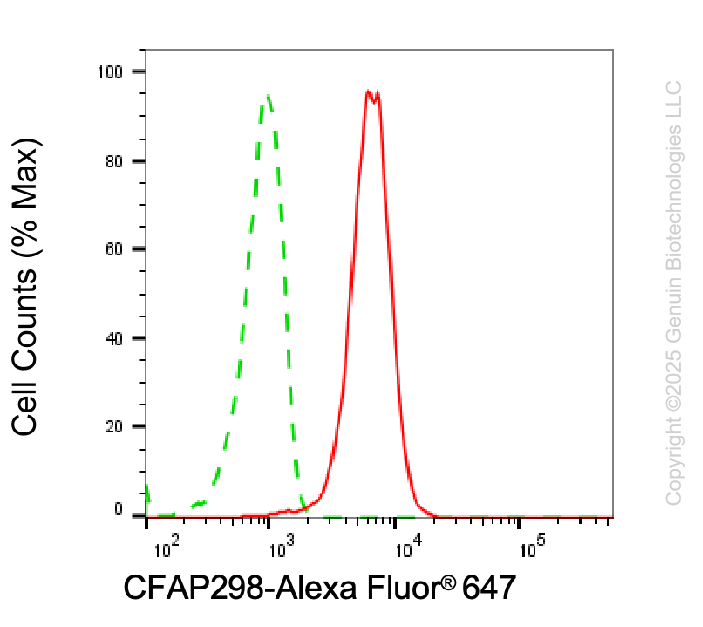 KD-Validated Anti-CFAP298 Mouse Monoclonal Antibody ABG2008
