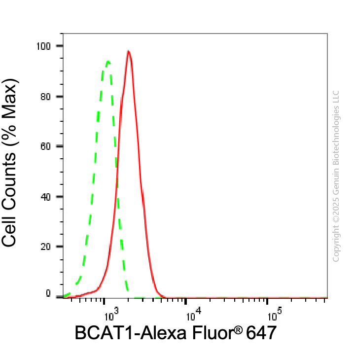 KD-Validated Anti-BCAT1 Mouse Monoclonal Antibody ABG2010