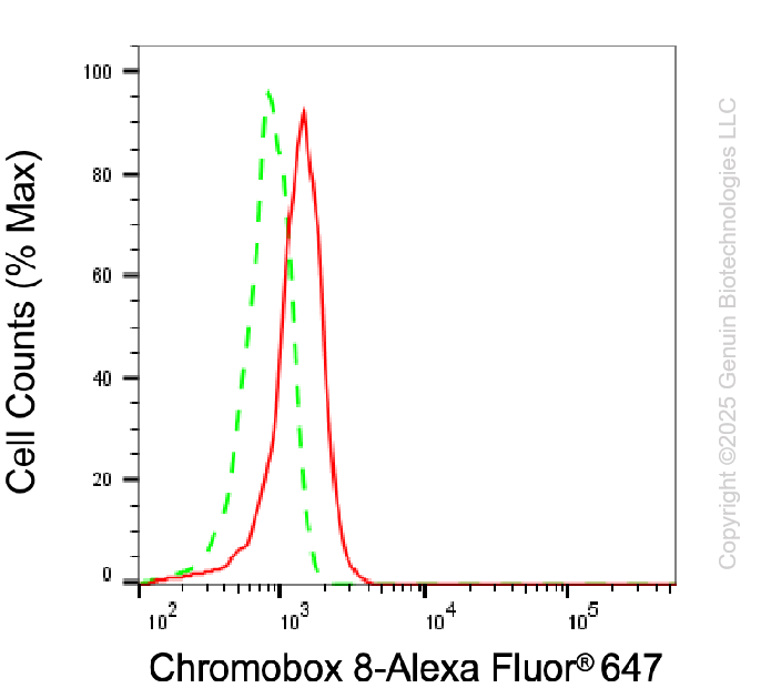 KD-Validated Anti-CBX8 Mouse Monoclonal Antibody ABG2014