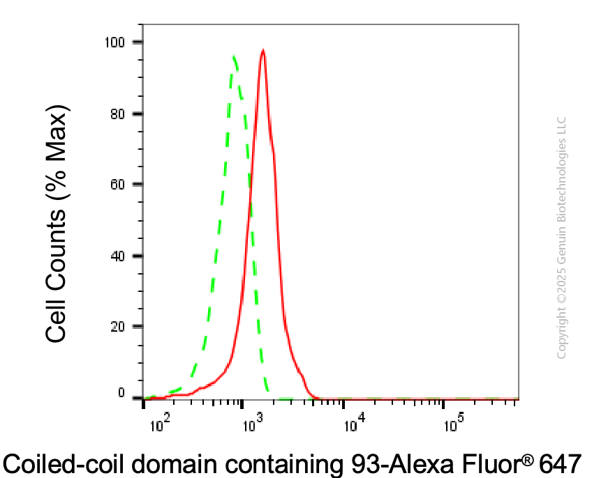 KD-Validated Anti-CCDC93 Mouse Monoclonal Antibody ABG2015