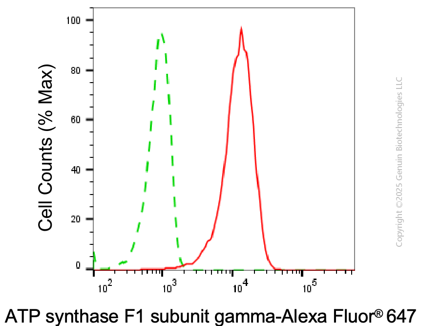 KD-Validated Anti-ATP5C1 Mouse Monoclonal Antibody ABG2016
