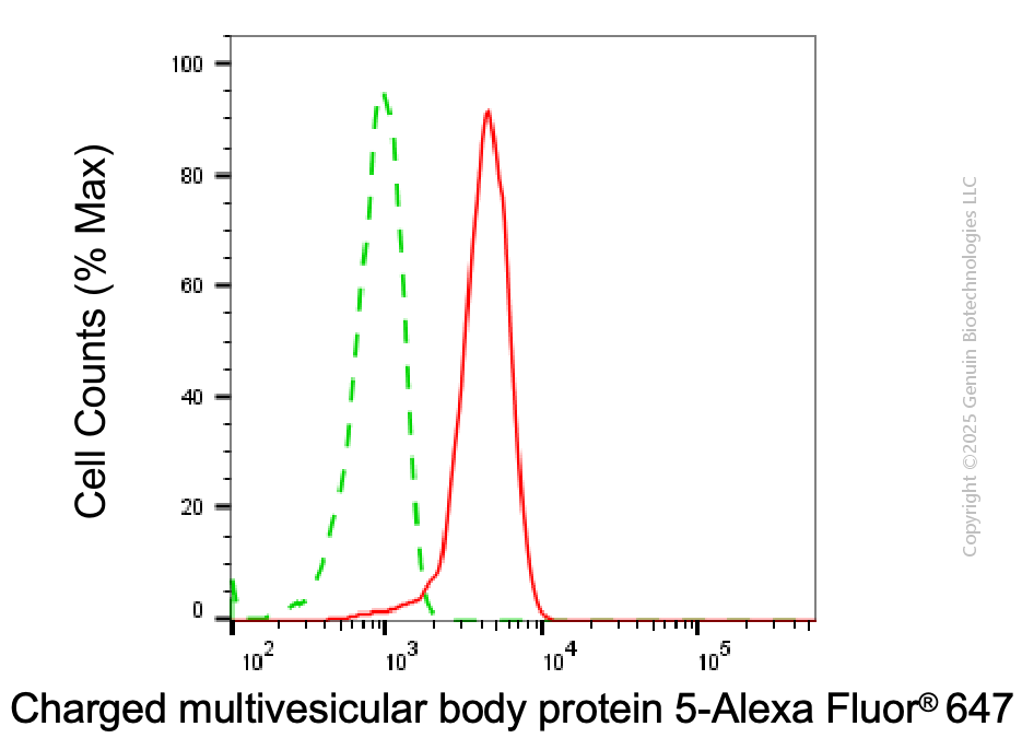 KD-Validated Anti-CHMP5 Mouse Monoclonal Antibody ABG2018