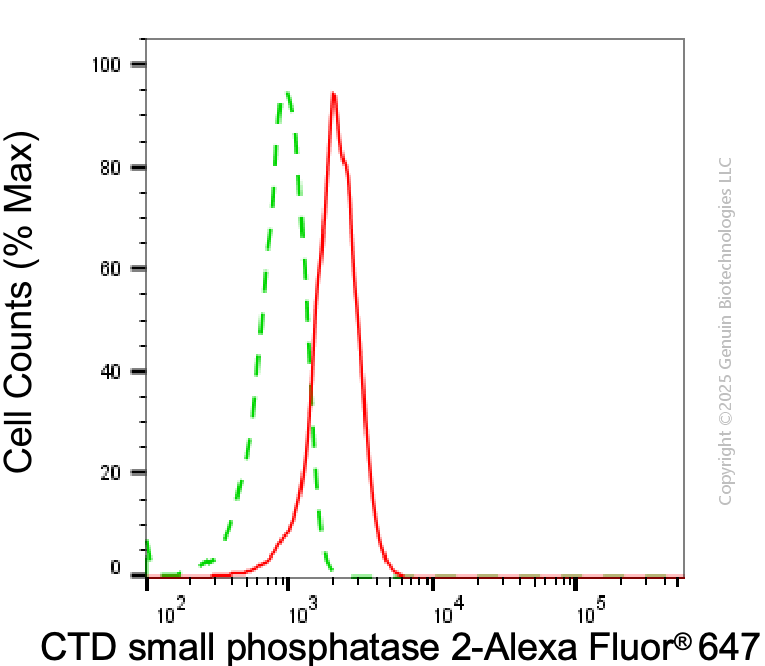 KD-Validated Anti-CTDSP2 Mouse Monoclonal Antibody ABG2020