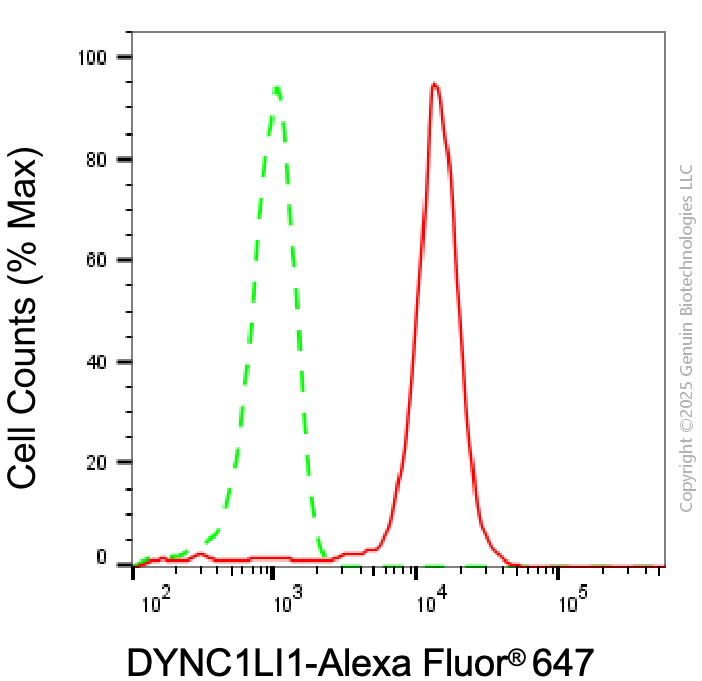 KD-Validated Anti-DYNC1LI1 Mouse Monoclonal Antibody ABG2023