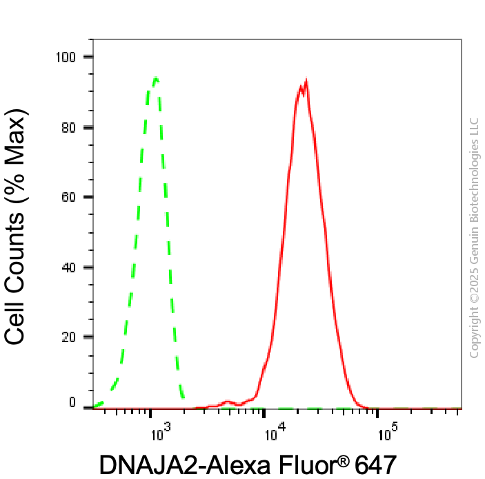 KD-Validated Anti-DNAJA2 Mouse Monoclonal Antibody ABG2025