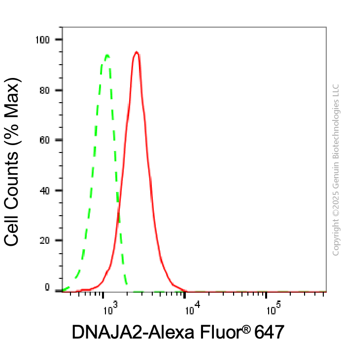 KD-Validated Anti-DNAJA2 Mouse Monoclonal Antibody ABG2026