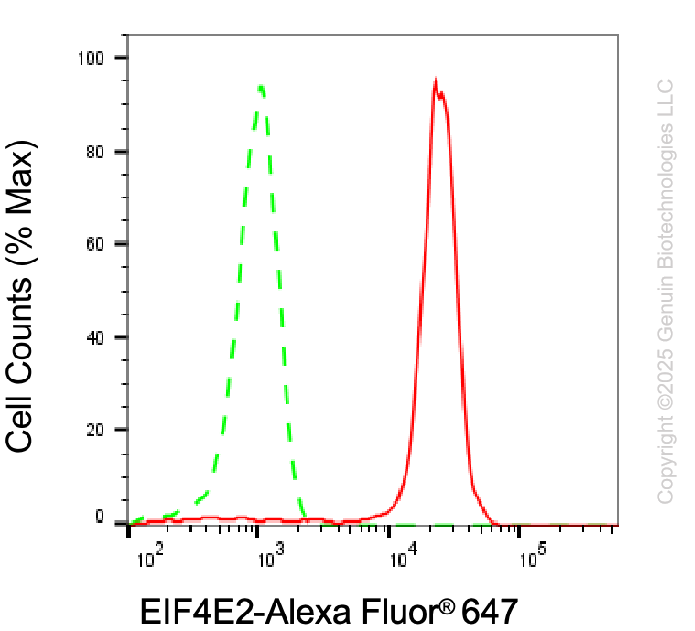 KD-Validated Anti-EIF4E2 Mouse Monoclonal Antibody ABG2027