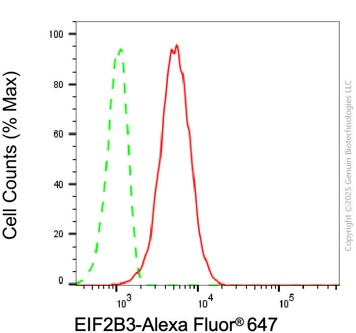 KD-Validated Anti-EIF2B3 Mouse Monoclonal Antibody ABG2028